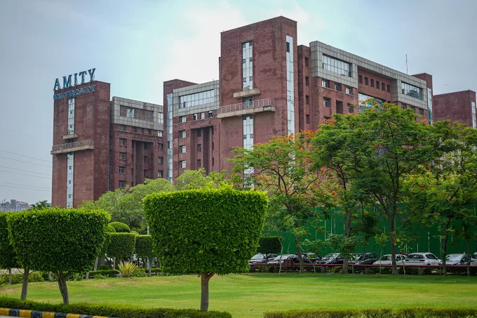 Amity University Noida