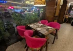The Patiala Kkitchen – best restaurant in noida