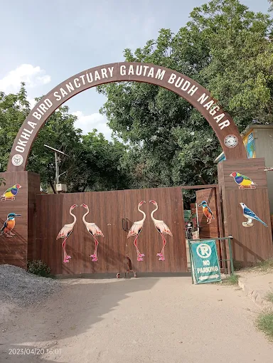 Okhla Bird Sanctuary